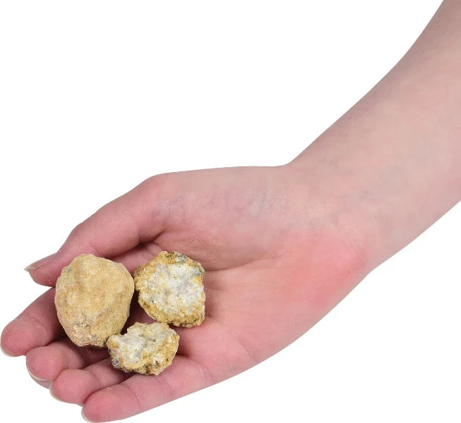 Smash N Bash Geodes