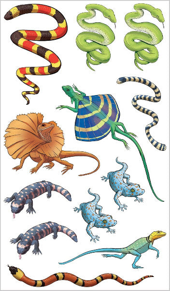 Snakes Tattoos that Teach