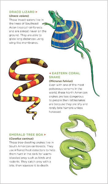 Snakes Tattoos that Teach