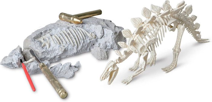 Stegasaurus Paleontology Kit - FINAL SALE
