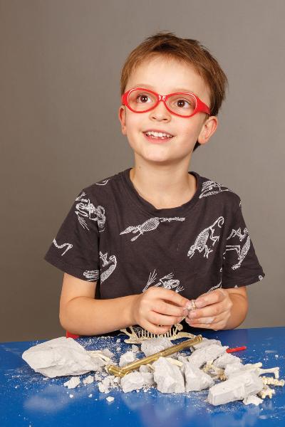 Stegasaurus Paleontology Kit - FINAL SALE