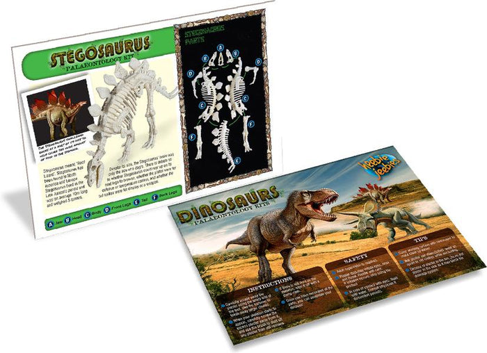 Stegasaurus Paleontology Kit - FINAL SALE