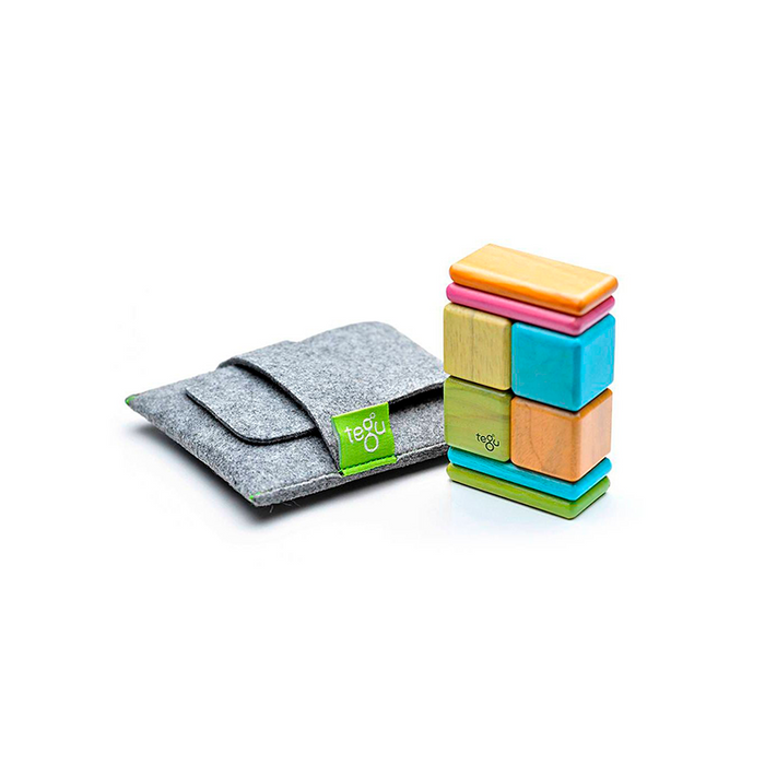 Tegu Pocket Pouch Tint