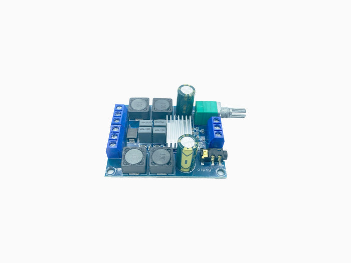 TPS3116D2 High-Power Digital Power Amplifier Module