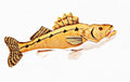 Walleye stuffed fish