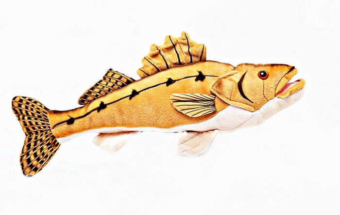 Walleye stuffed fish