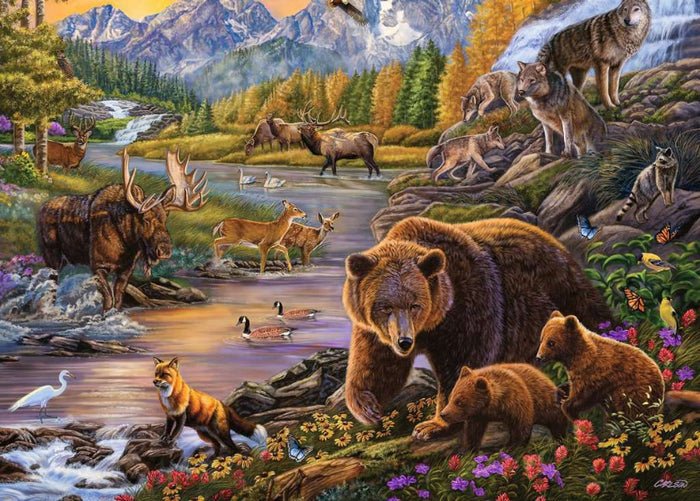 Wilderness 500pc