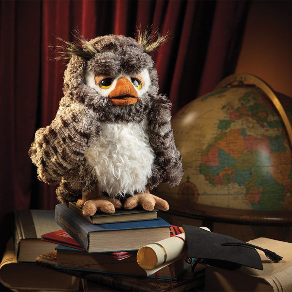 Plush owl puppet on books with a globe in the background