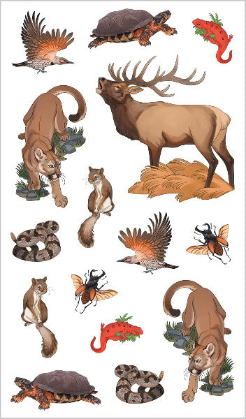 Woodland Tattoos that Teach