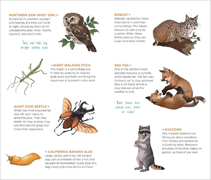 Woodland Tattoos that Teach